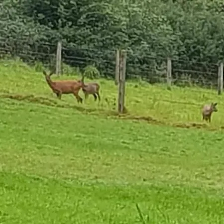 Le Refuge Des Echos - Domes Insolites D'etretat Panzió
